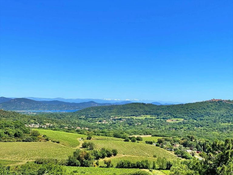 Villa for Sale in La Croix Valmer, St. Tropez, Grimaud Area 8