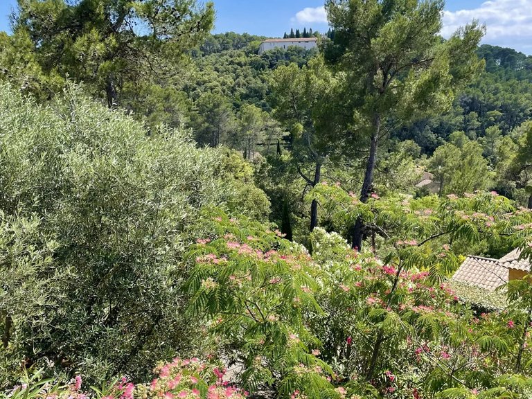 Villa for Sale in Lorgues, Var Countryside (fayence, Lorgues, Cotignac) 15