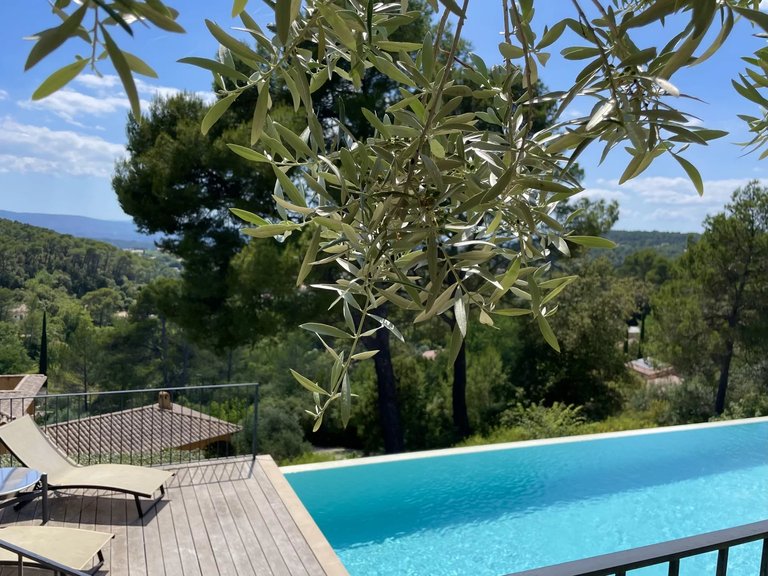 Villa for Sale in Lorgues, Var Countryside (fayence, Lorgues, Cotignac) 6