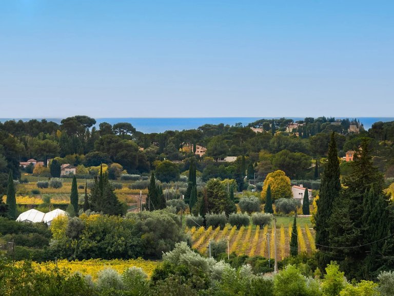 Villa for Sale in Cassis, Provence Coast (cassis To Cavalaire) 1