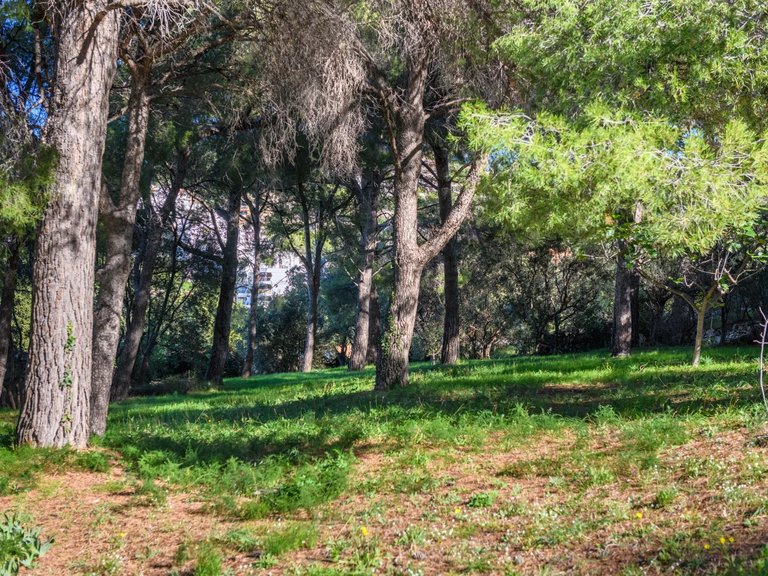 Villa for Sale in Cassis, Provence Coast (cassis To Cavalaire) 3