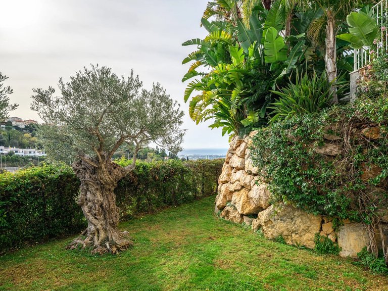 Villa for Sale in Nice, Nice Area 17