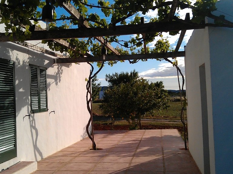 Villa for Sale in Can Tomas, Ibiza 3