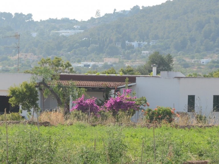 Villa for Sale in Can Tomas, Ibiza 5