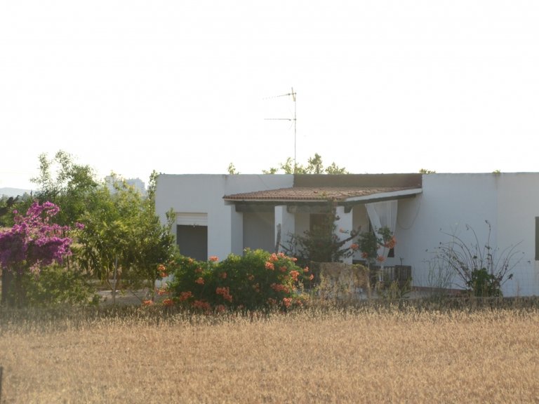Villa for Sale in Can Tomas, Ibiza 8