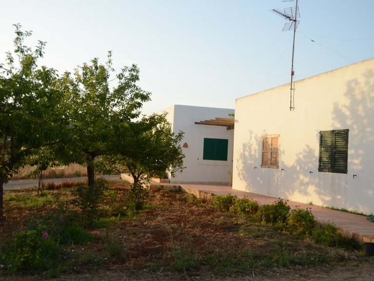 Villa for Sale in Can Tomas, Ibiza 12