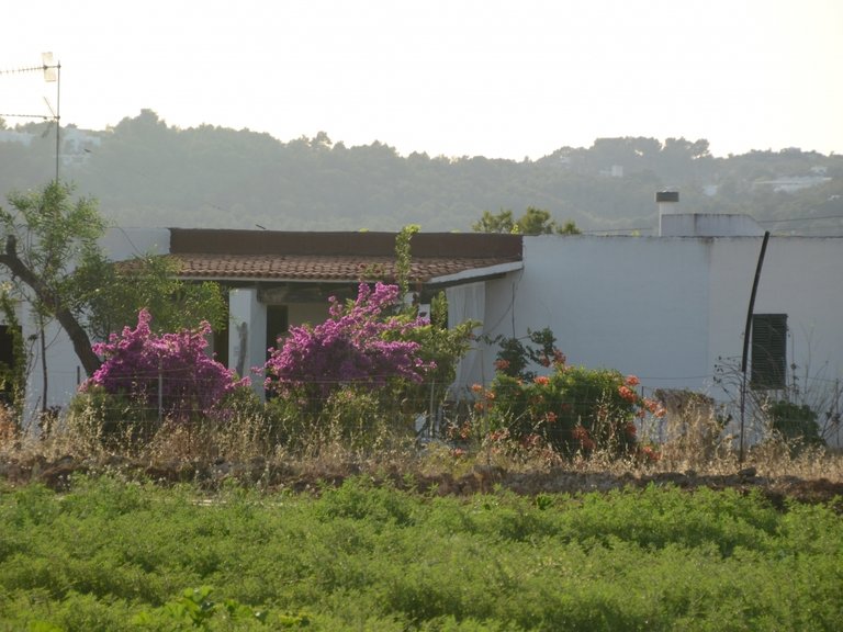 Villa for Sale in Can Tomas, Ibiza 13