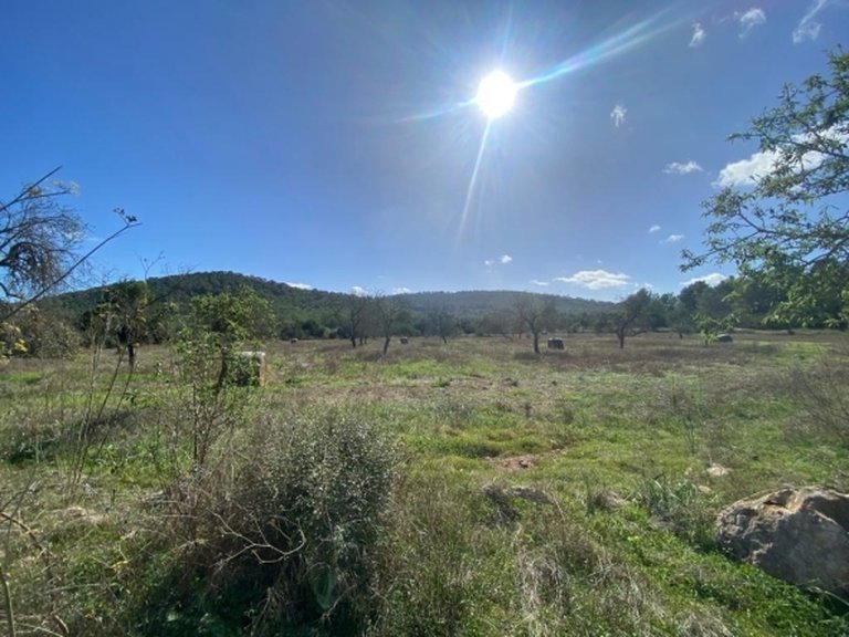 Villa for Sale in Sant Antoni De Portmany, Ibiza 1