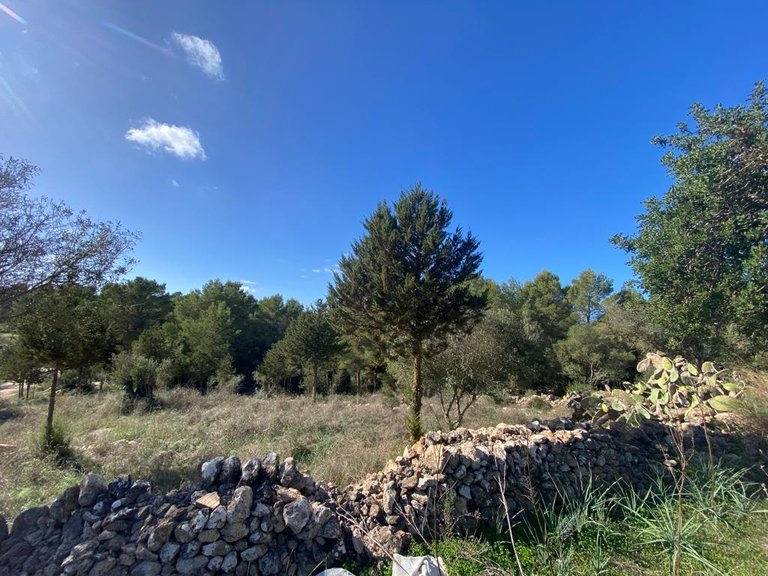 Villa for Sale in Sant Antoni De Portmany, Ibiza 2