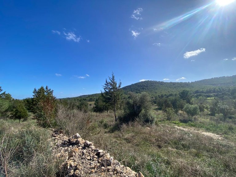 Villa for Sale in Sant Antoni De Portmany, Ibiza 3