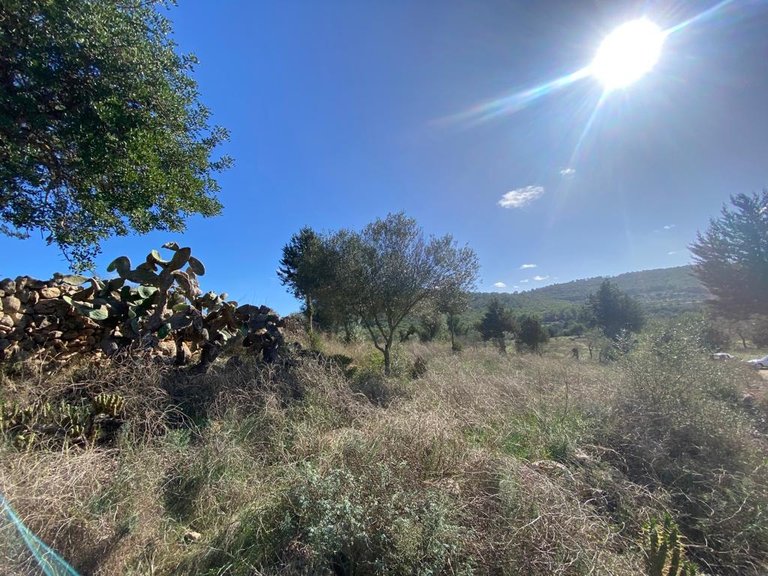 Villa for Sale in Sant Antoni De Portmany, Ibiza 4
