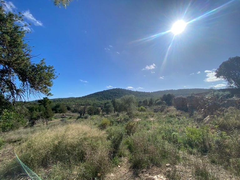 Villa for Sale in Sant Antoni De Portmany, Ibiza 5