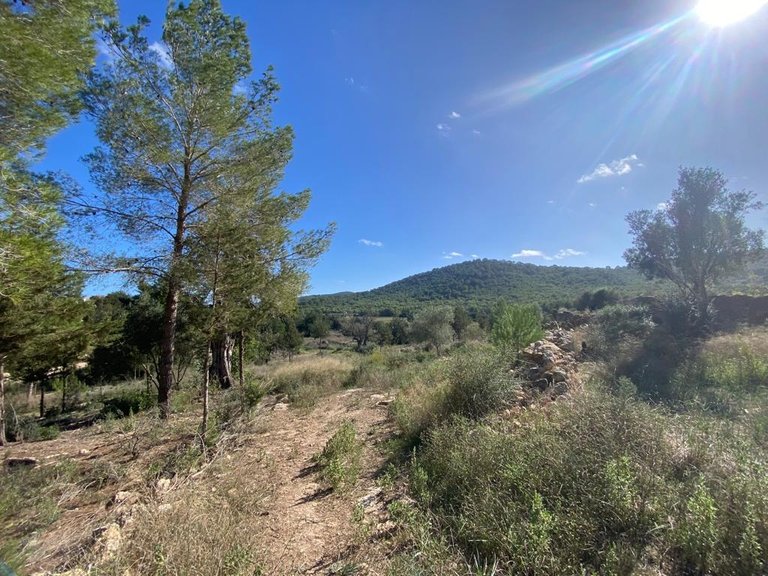 Villa for Sale in Sant Antoni De Portmany, Ibiza 6