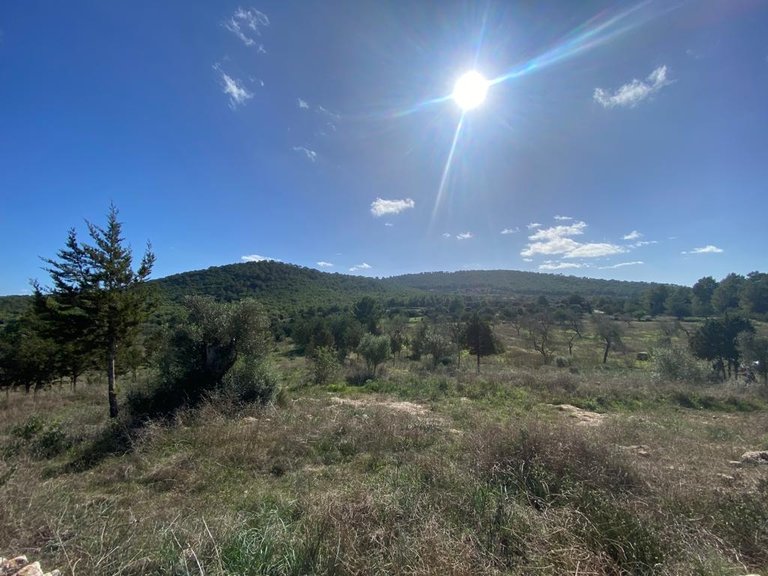 Villa for Sale in Sant Antoni De Portmany, Ibiza 7
