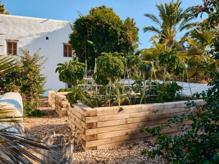 Villa for Sale in Sant Antoni De Portmany, Ibiza 5