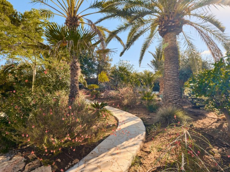 Villa for Sale in Sant Antoni De Portmany, Ibiza 12