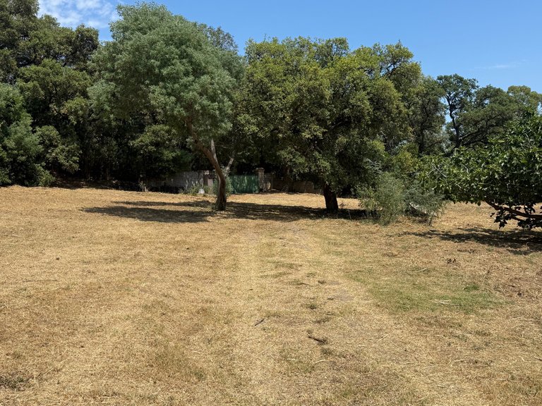 Villa for Sale in Cavalaire Sur Mer, Provence Coast (cassis To Cavalaire) 5