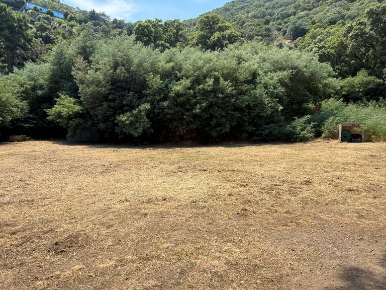 Villa for Sale in Cavalaire Sur Mer, Provence Coast (cassis To Cavalaire) 6