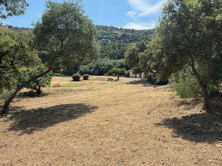 Villa for Sale in Cavalaire Sur Mer, Provence Coast (cassis To Cavalaire) 8