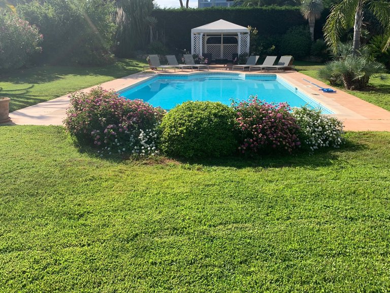 Villa for Sale in Cap D Antibes, Antibes Area 16
