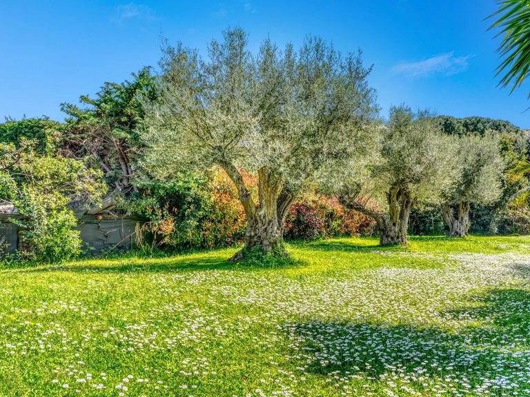 Villa for Sale in Antibes, Antibes Area 13