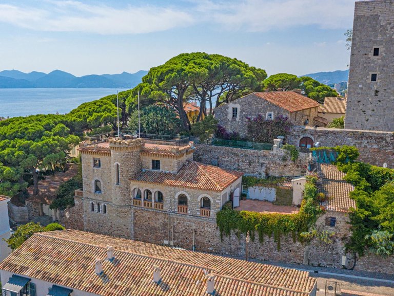 Villa for Sale in Cannes, Cannes Area 1