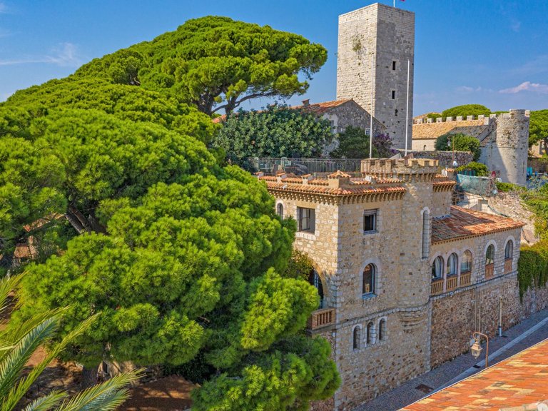 Villa for Sale in Cannes, Cannes Area 8
