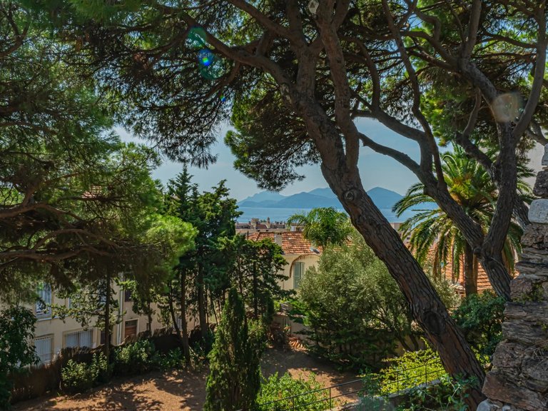 Villa for Sale in Cannes, Cannes Area 16