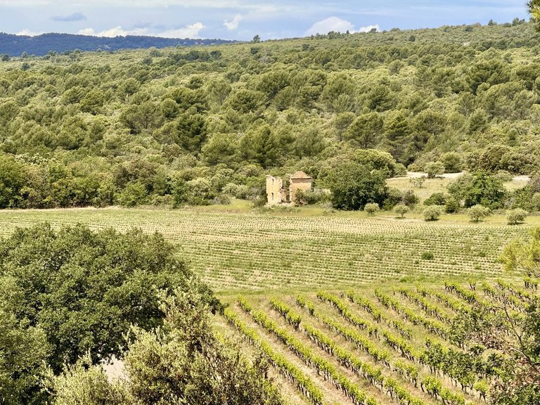 Villa for Sale in Gordes, The Luberon / Vaucluse 11