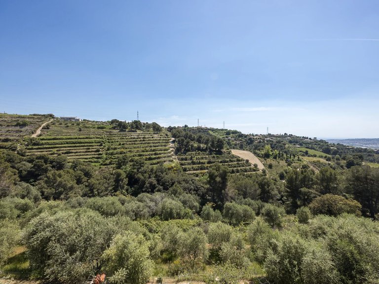 Villa for Sale in Nice, Nice Area 3