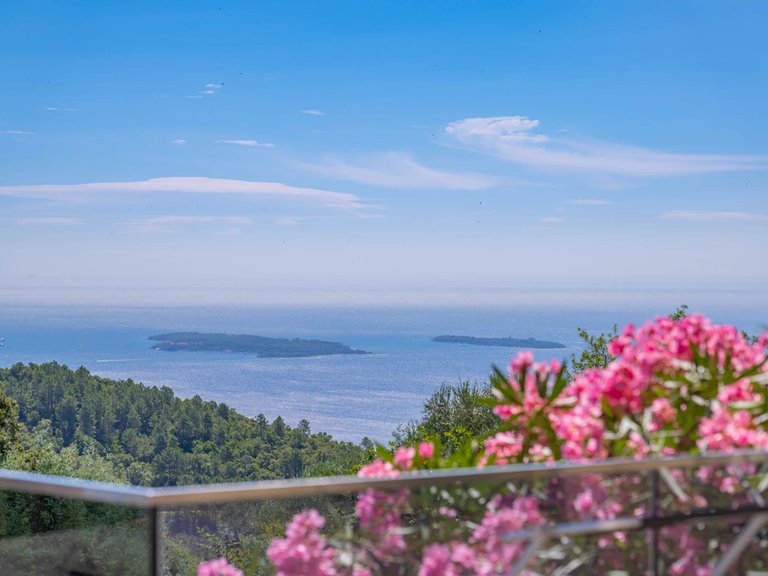 Villa for Sale in Mandelieu La Napoule, Cannes Area 3