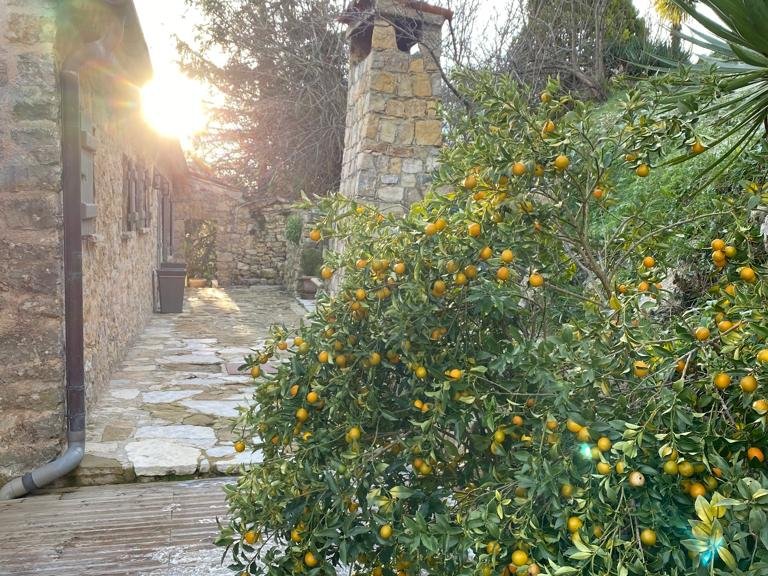 Villa for Sale in Le Rouret, Mougins, Valbonne, Grasse Area 19