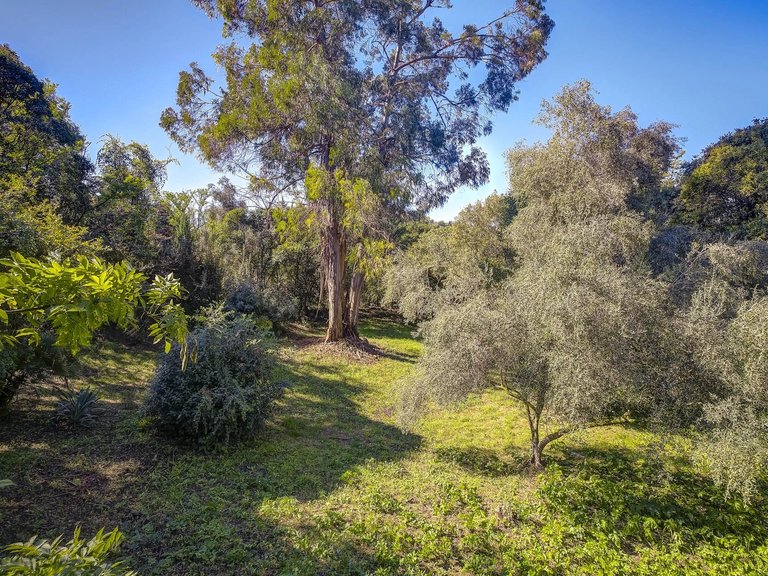 Villa for Sale in Mougins, Mougins, Valbonne, Grasse Area 7