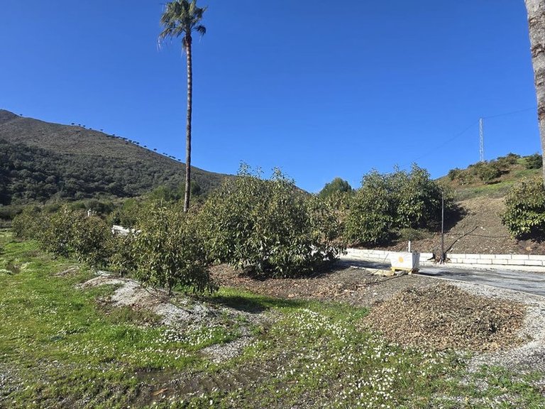 Villa for Sale in Mijas Pueblo, Marbella Area 18
