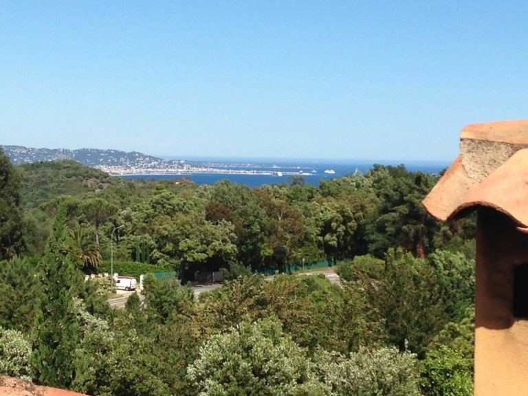 Villa for Sale in Mandelieu La Napoule, Cannes Area 9
