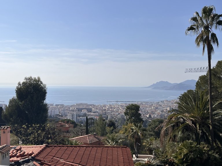 Villa for Sale in Cannes, Cannes Area 11