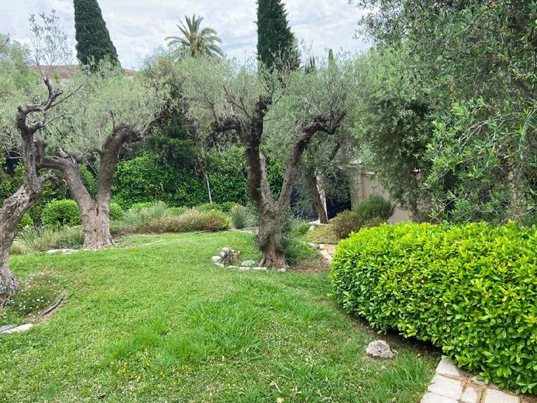 Villa for Sale in Cannes, Cannes Area 8