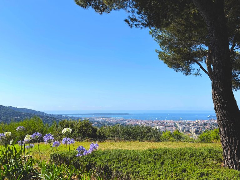 Villa for Sale in Le Cannet, Cannes Area 1