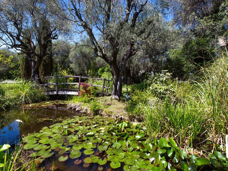 Villa for Sale in Grasse, Mougins, Valbonne, Grasse Area 3