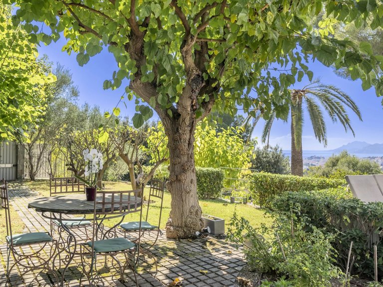 Villa for Sale in Le Cannet, Cannes Area 4