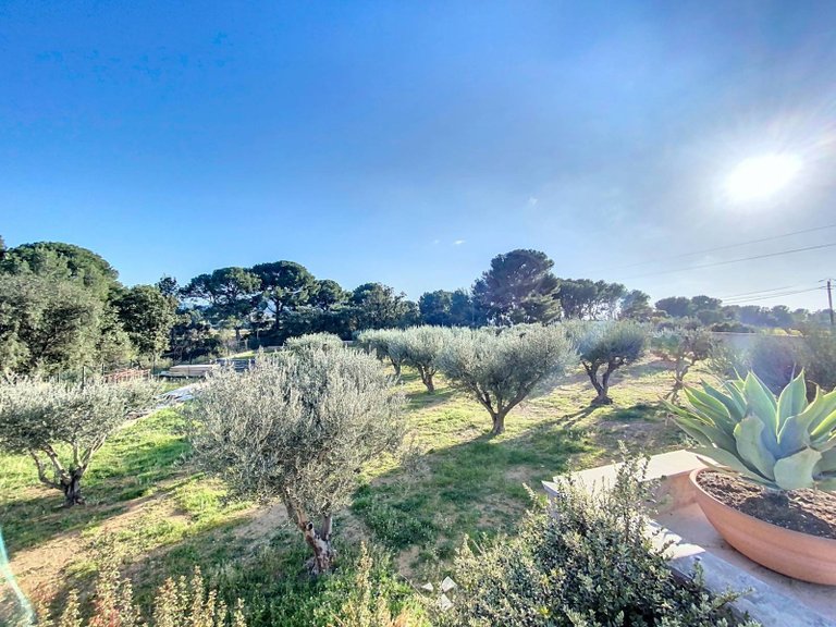 Villa for Sale in La Cadiere D Azur, Provence Coast (cassis To Cavalaire) 9