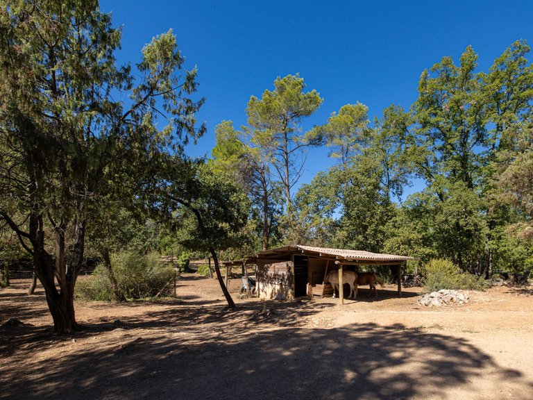 Villa for Sale in Fayence, Var Countryside (fayence, Lorgues, Cotignac) 10