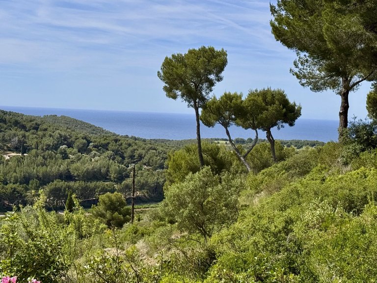 Villa for Sale in St Cyr Sur Mer, Provence Coast (cassis To Cavalaire) 3