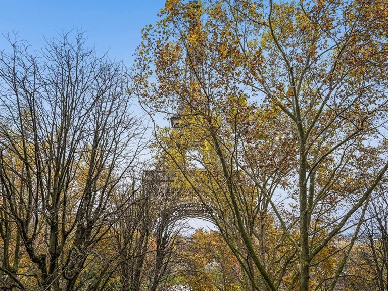 Apartment for Sale in 7th (invalides, Eiffel Tower, Orsay), Paris Left Bank (5th,6th & 7th ) 7