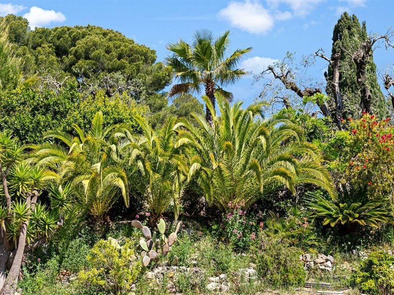 Villa for Sale in Mougins, Mougins, Valbonne, Grasse Area 5