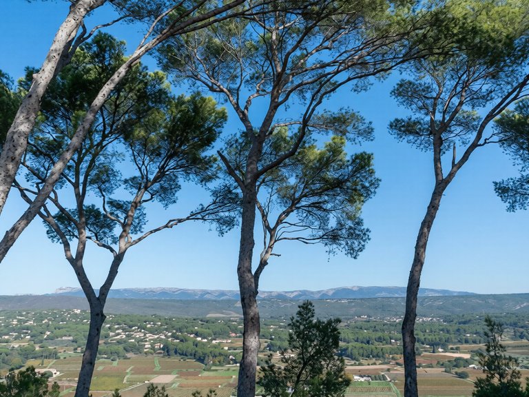 Villa for Sale in La Cadiere D Azur, Provence Coast (cassis To Cavalaire) 6