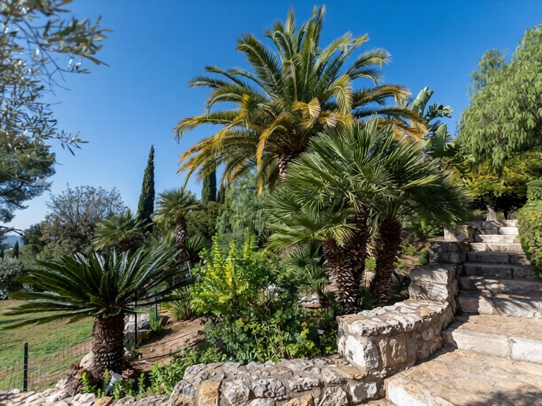 Villa for Sale in La Cadiere D Azur, Provence Coast (cassis To Cavalaire) 11