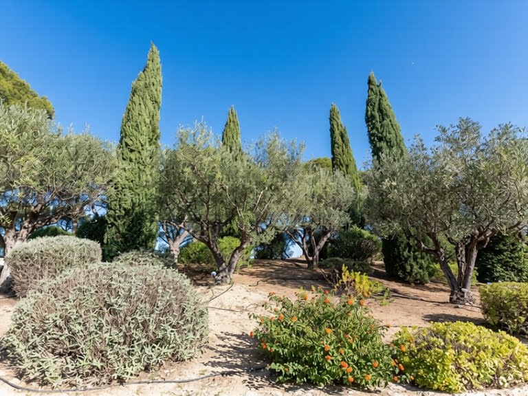 Villa for Sale in La Cadiere D Azur, Provence Coast (cassis To Cavalaire) 4