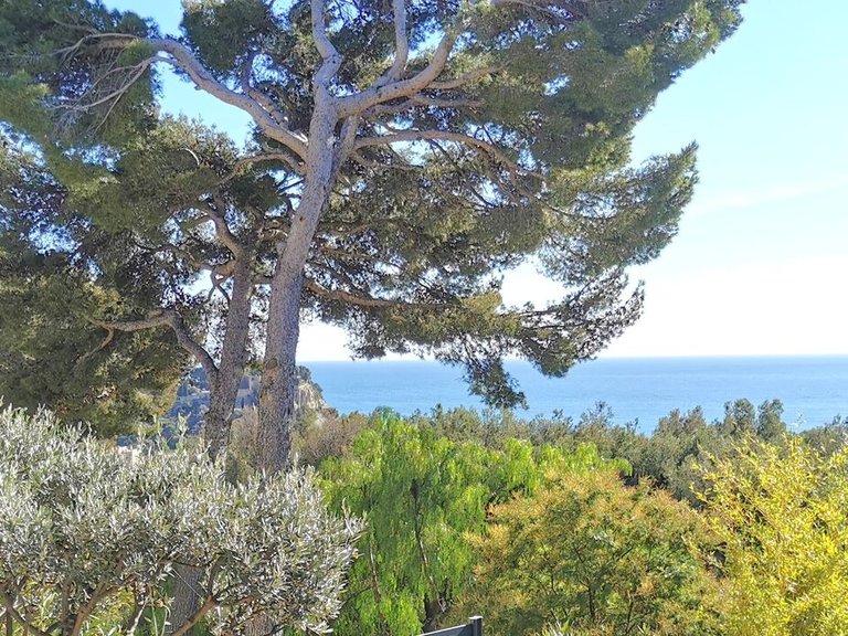 Villa for Sale in Cassis, Provence Coast (cassis To Cavalaire) 1