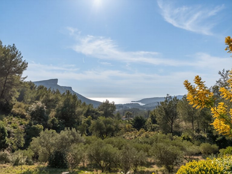 Villa for Sale in Cassis, Provence Coast (cassis To Cavalaire) 11